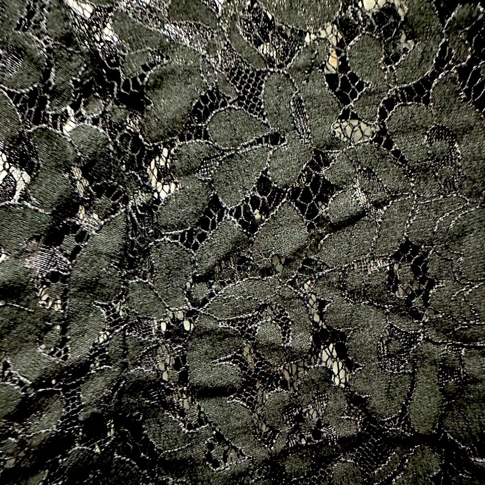 Beautiful lace BCBG Max Aria lace shirt - long sleeve size Large